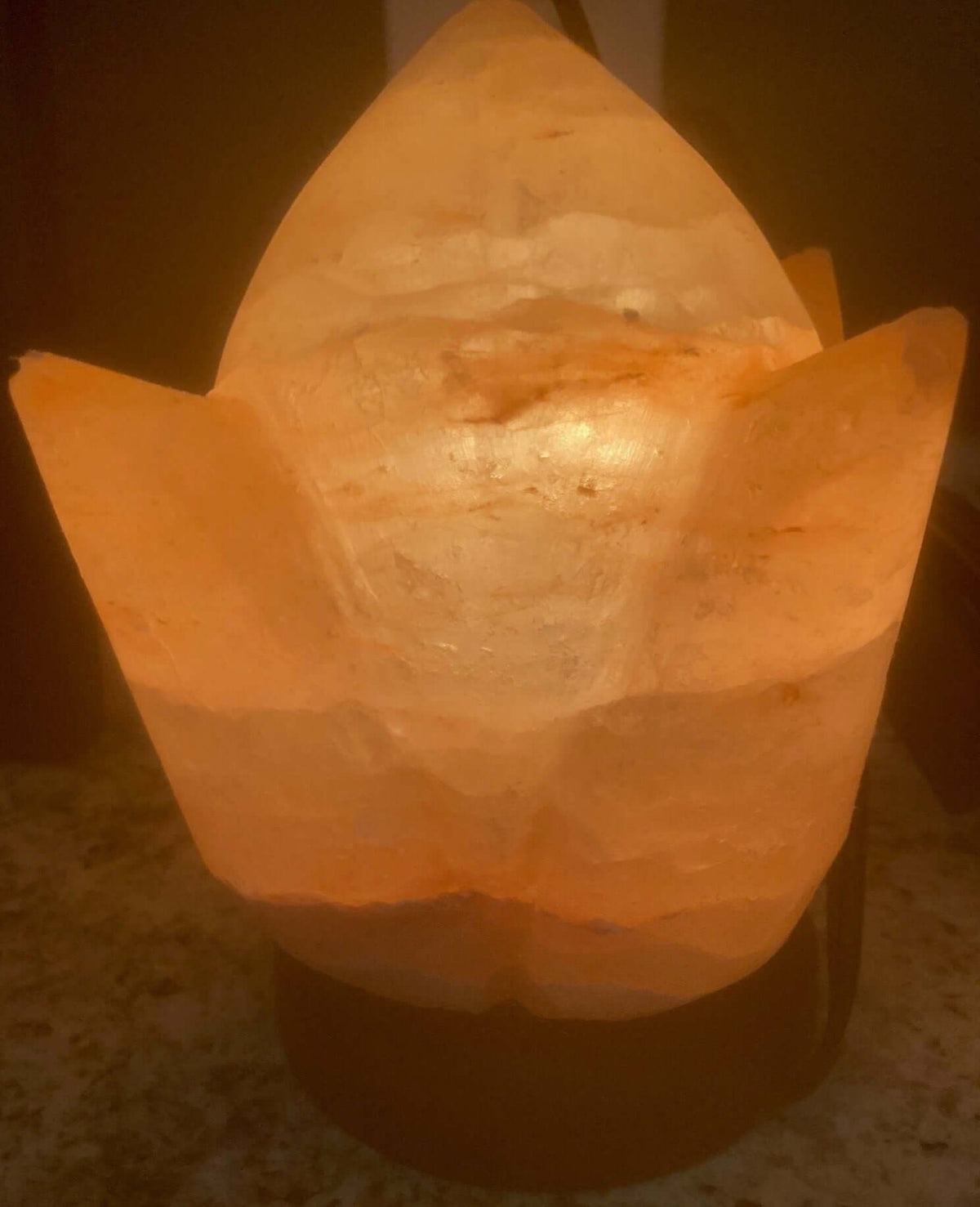 Closed Tulip Himalayan Salt Lamp