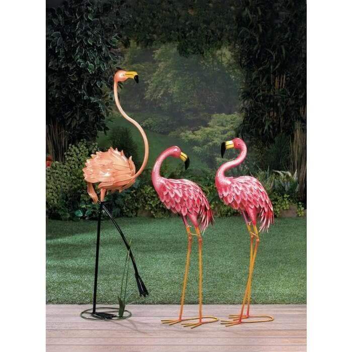 Bright Standing Flamingo Looking Back - The House of Awareness