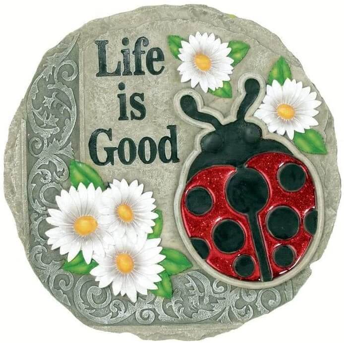 Life is Good Ladybug Decorative Garden Stone- The House of Awareness