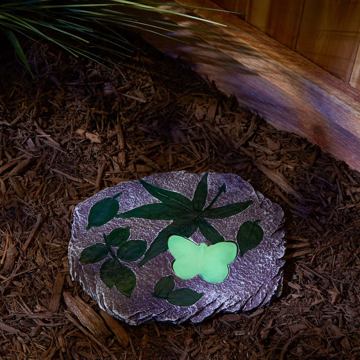  Butterfly Glowing Stepping Stone- The House of Awareness