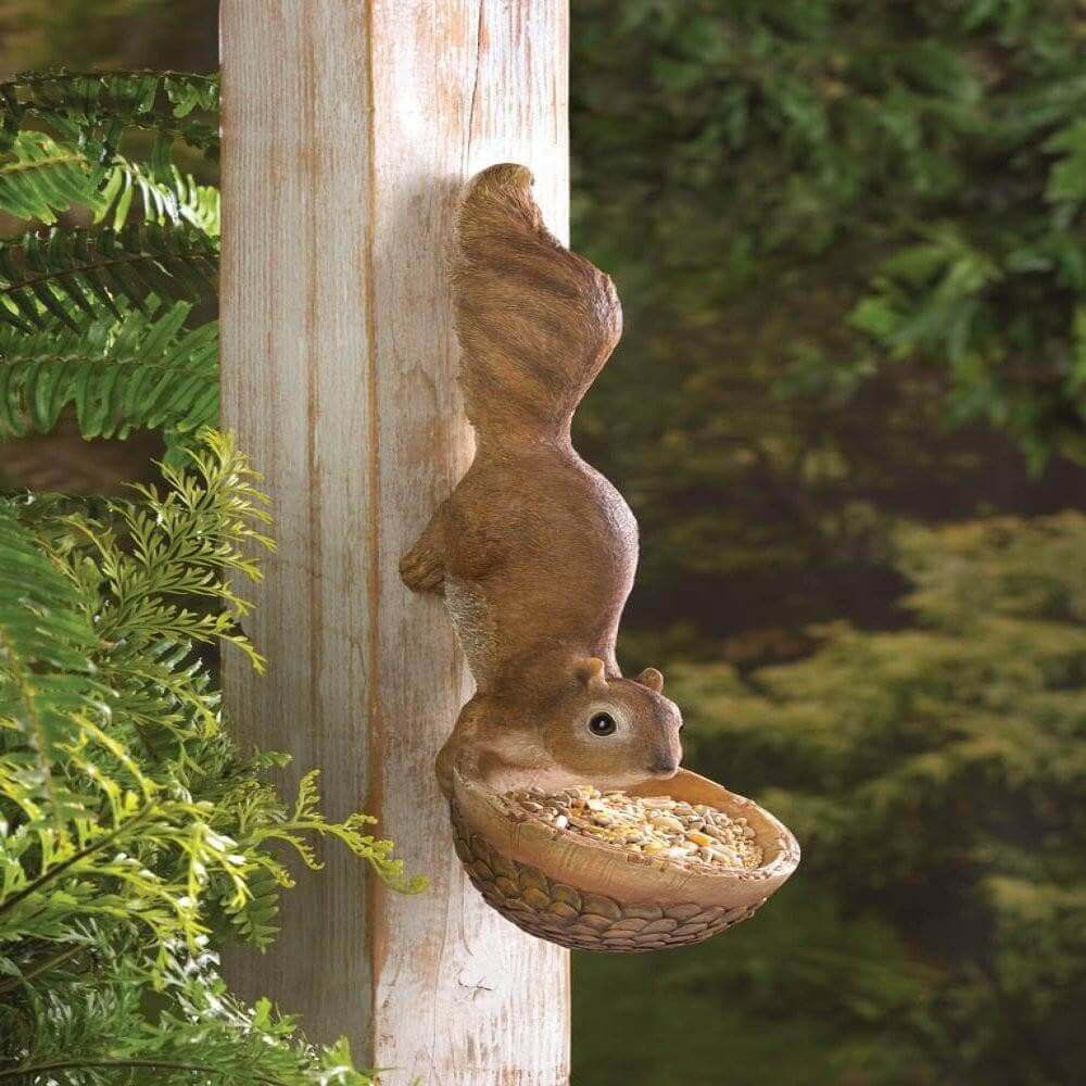 Set of 2 Squirrel Wildlife Feeders - The House of Awareness