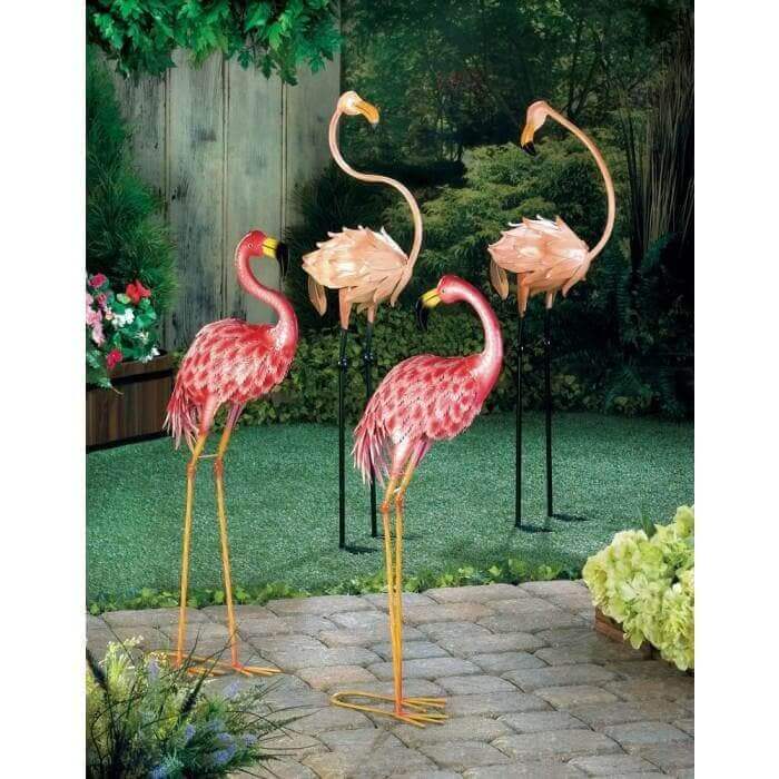 Bright Standing Flamingo Looking Back - The House of Awareness