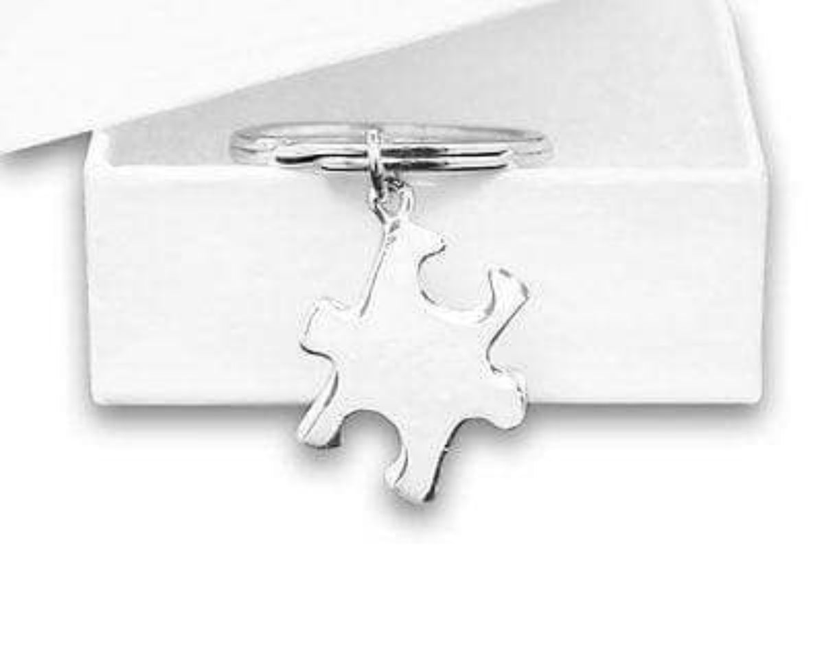 Autism Awareness Puzzle Piece Key Chain - The House of Awareness