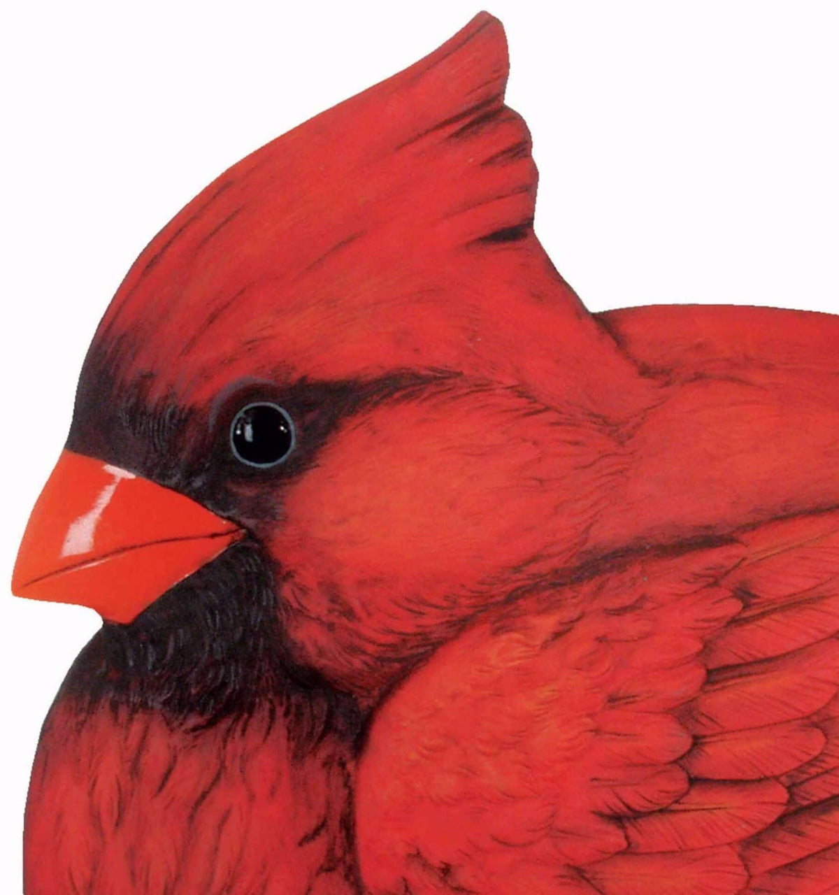 Beautiful Red Cardinal Decorative Garden Stone- The House of Awareness