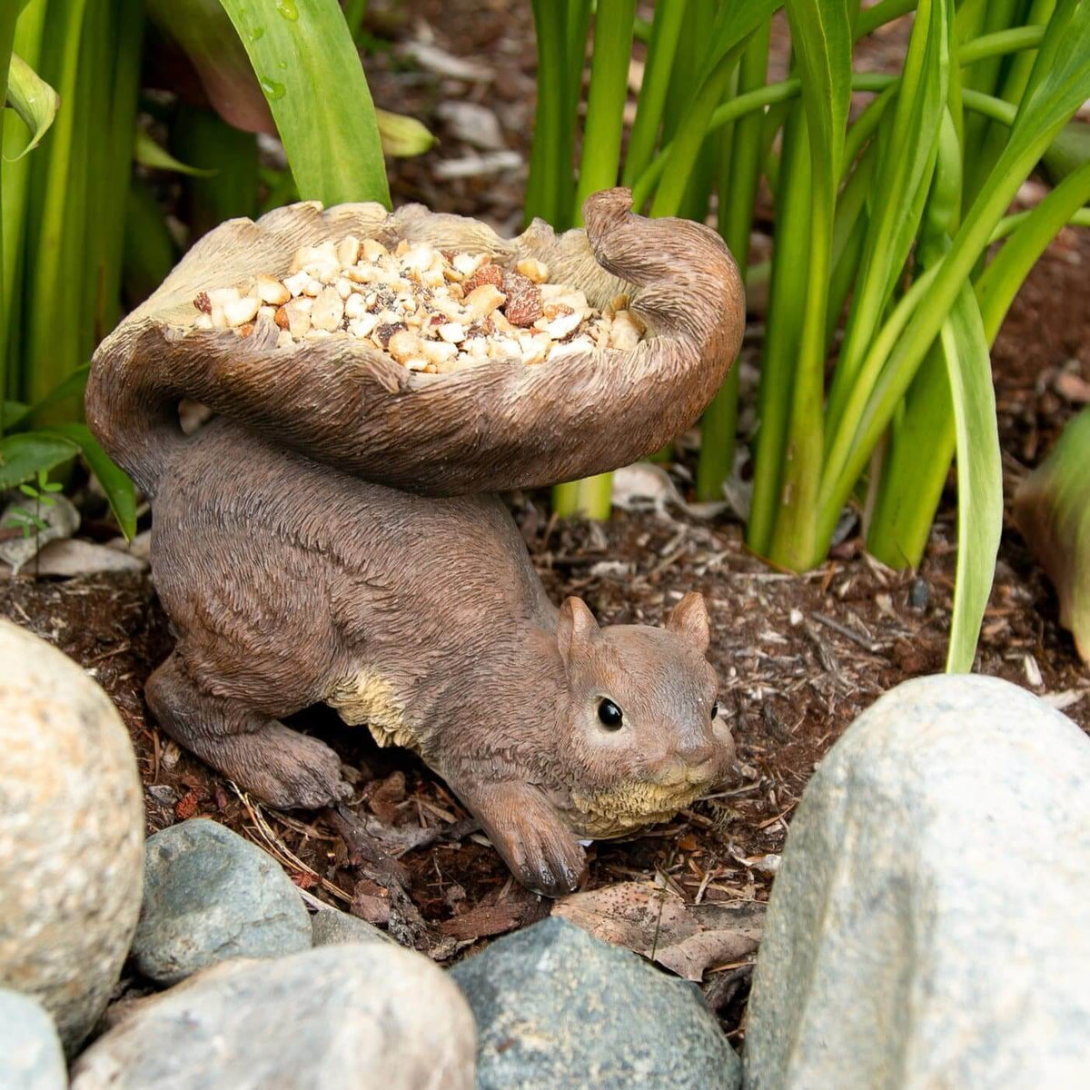 Plump Squirrel Bird Feeder - The House of Awareness
