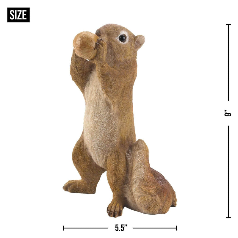  Eating Walnut Squirrel Figurine - The House of Awareness