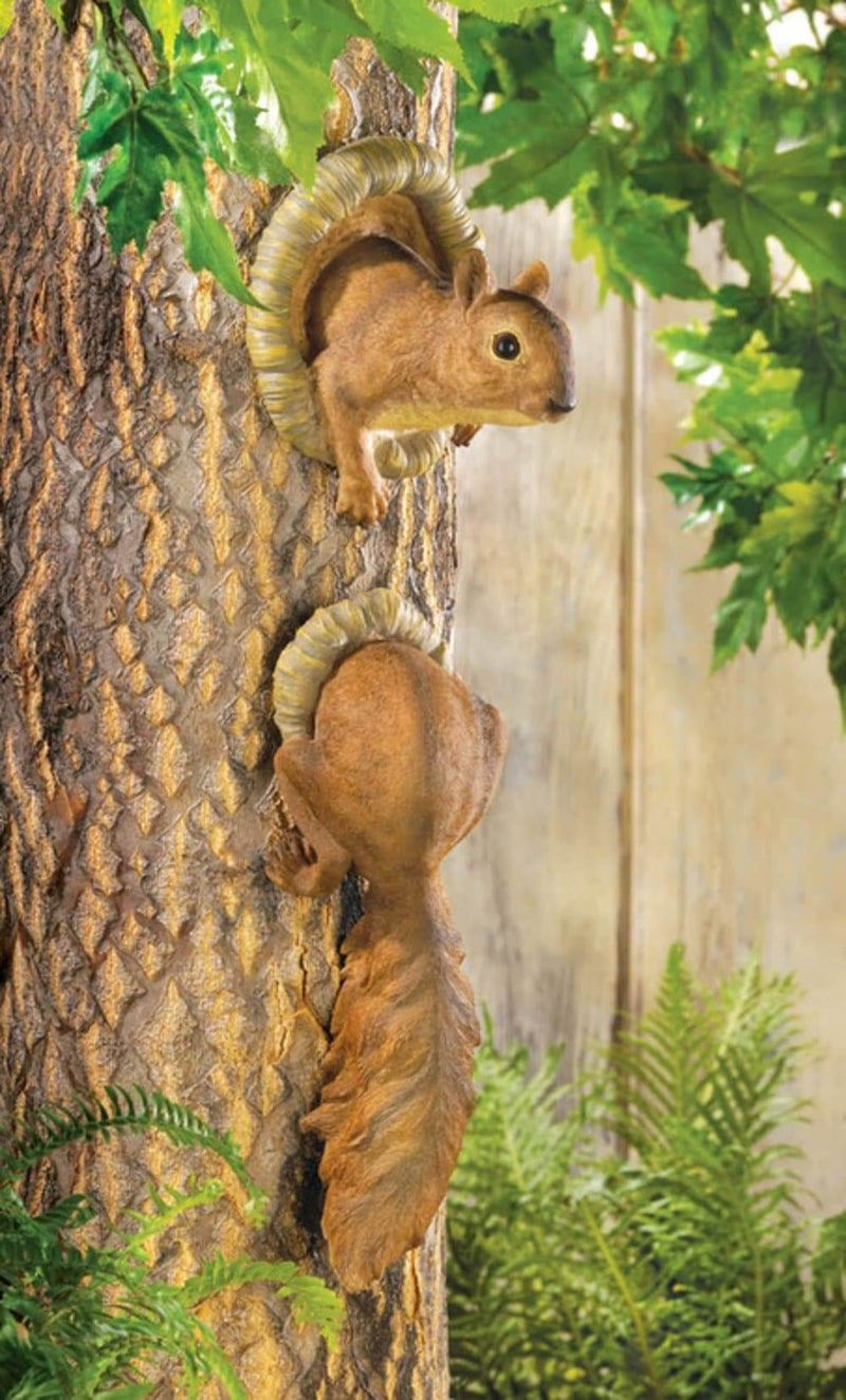 Two-Piece Squirrel Figurine - The House of Awareness